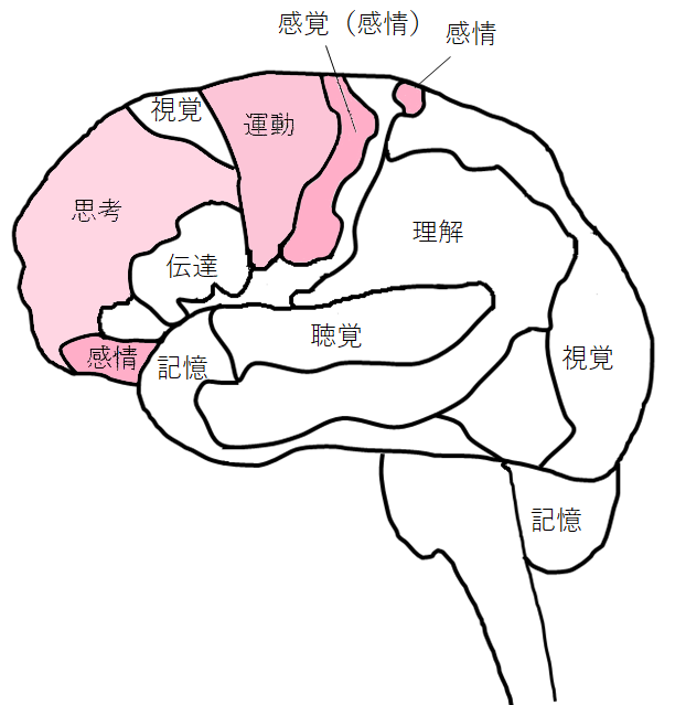 [イラスト] 8つの脳番地：運動系・感情系（感覚系）・思考系