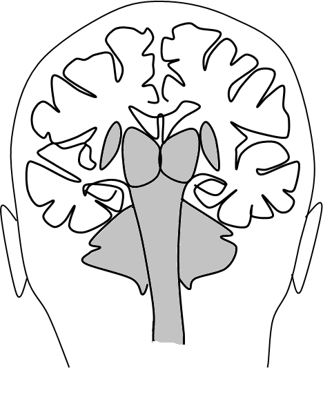 [イラスト] 脳に一層の集中力が必要なのは「微細運動」