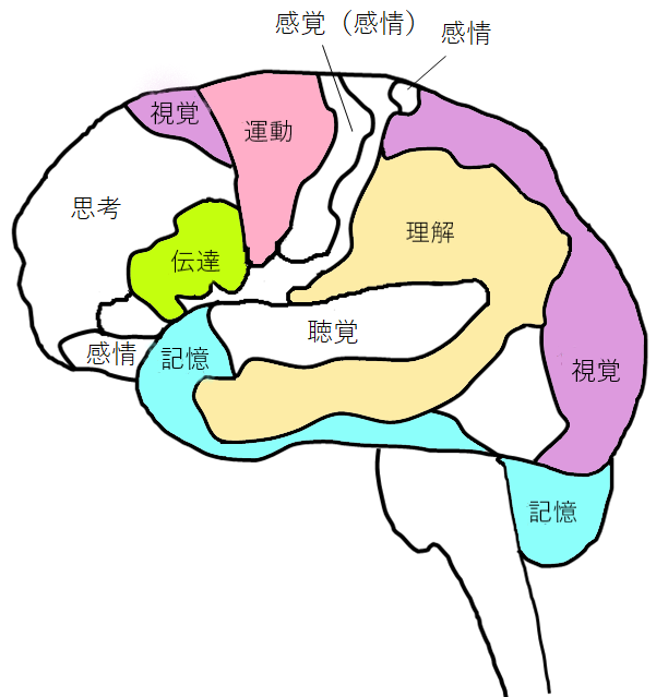 [イラスト] 8つの脳番地：運動系・視覚系・理解系・記憶系・伝達系