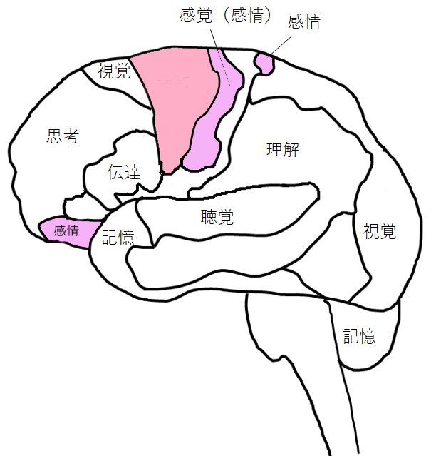 [イラスト] 8つの脳番地：運動系・感情系