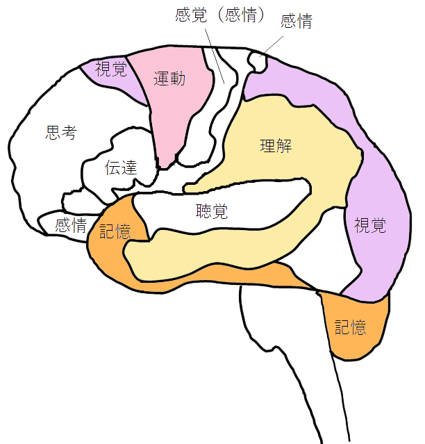 [イラスト] 8つの脳番地：運動系・視覚系・理解系・記憶系