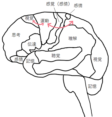 [イラスト] ぬりえは、運動系と視覚系の連動性を高め、手先を器用に動かす力を伸ばす