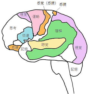 [イラスト] 8つの脳番地：運動系・聴覚系・視覚系・感情系・伝達系・理解系