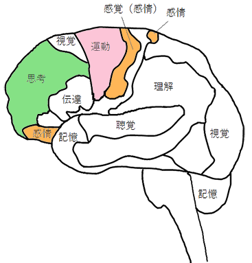 [イラスト] 8つの脳番地：運動系・感情系・思考系