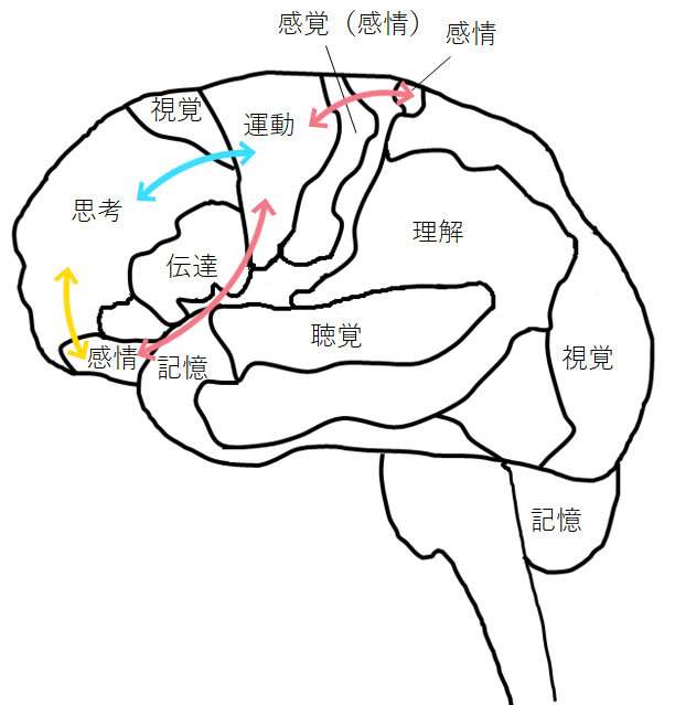 [イラスト] 利き手でない手を積極的に使うと、感情のコントロールが上手になる