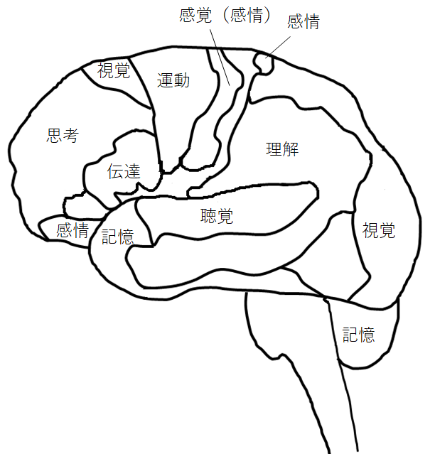 [イラスト] 8つの脳番地