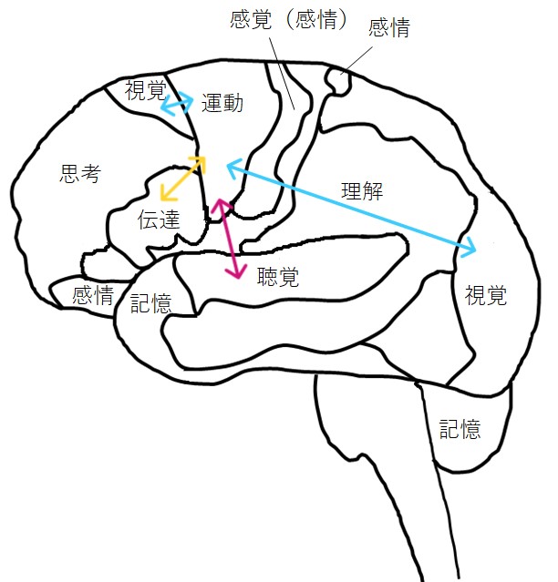 [イラスト] 昔ながらの手遊び歌で、効率的に脳が鍛えられる！