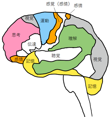 [イラスト] 8つの脳番地：運動系・視覚系・記憶系・思考系・理解系・感情系