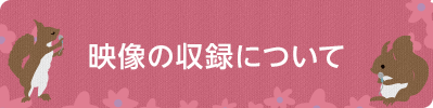 映像の収録について